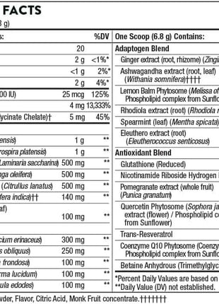 THORNE - Energy Bundle - Daily Greens Plus & Basic B Complex - Promotes Cellular Energy and Physical Endurance - 30 Servings