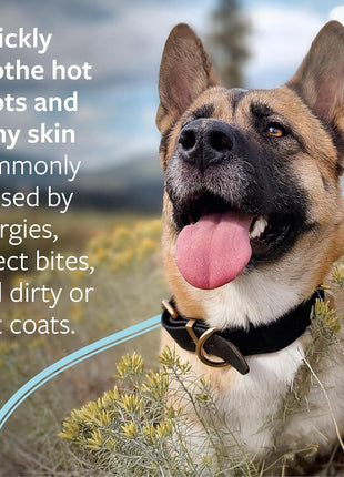 Veterinary Formula Clinical Care Hot Spot & Itch Relief Medicated Spray, 8oz 芒聙聯 Easy to Use Spray for Dogs & Cats 芒聙聯 Helps Alleviate Sensitive Skin, Scratching, and Licking of Coat (1 Pack)