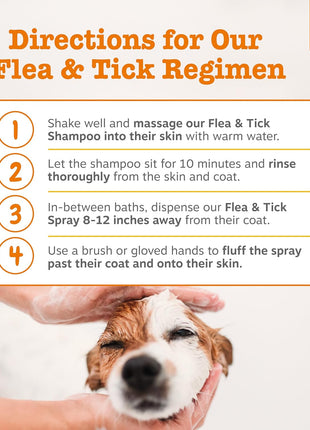 Zesty Paws Wild Alaskan Omega-3 Blend Pollock + Salmon Oil + Flea and Tick Shampoo for Dogs