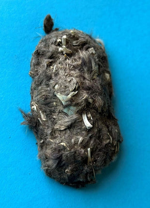 Pellets Barn Owl Pellet, Small (Pack of 20)