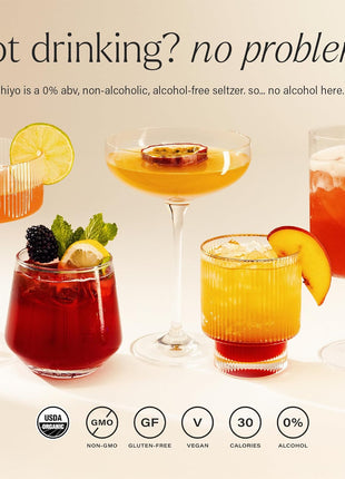 Hiyo Non-Alc Functional Seltzer, Adaptogens & Nootropics, 12 fl oz, 12pk | Classic Pack, Organic Social Tonic, Non-Alcoholic Beverage, Functional Drink, 30 Cals, Gluten Free, Vegan, Non-GMO