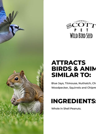 Scott Pet Wild Bird Seed, Whole Peanuts, 4 lbs Bag, Feed, Great Source of Protein and Fiber, Peanuts for Outside Wild Birds