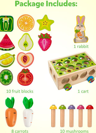 Coogam Montessori Fine Motor Toys for Baby Toddler, Wooden Shape Sorter Carrot Harvest Game for Easter Basket Stuffer, Preschool Learning Educational Gift Toy for 3 4 5 Year Old
