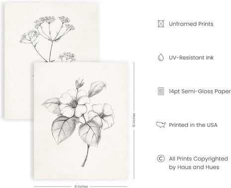 HAUS AND HUES Grey Floral Wall Art - Set of 4 Plant Posters for Wall Vintage, Botanical Prints, Black and White Wall Art Flower Pictures for Room Aesthetic, Farmhouse Bathroom Art (8x10, Unframed)