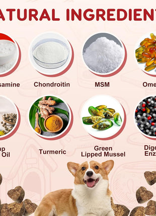 Probiotics for Dogs Bundle with Glucosamine for Dogs