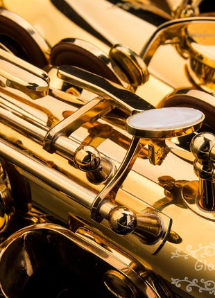 Glory Gold Laquer E Flat Alto Saxophone with 11reeds,8 Pads cushions,case,carekit