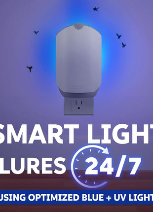 Zevo 2 Flying Insect Traps & 2 Refill Cartridges   Plug in Fly Trap & Indoor Bug Catcher for Gnats, House & Fruit Flies   Blue & UV Light Technology, Mess Free Alternative to Bug Zapper