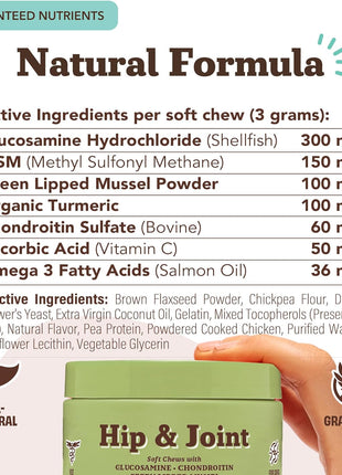 Natural Dog Company Hip & Joint Chews & Wild Alaskan Salmon Oil Bundle – 180 Ct Glucosamine Supplement + 32 oz Omega-3 Fish Oil for Dogs, Mobility, Joint, Skin & Coat Support