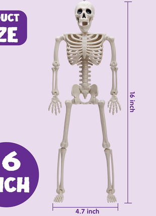 JOYIN 5 PCS Posable Halloween Skeleton Decor 16 Inches, Full Body Posable Joints Hanging Skeletons for Halloween Decorations, Graveyard Props, Haunted House Accessories, Spooky Scene Party Favors