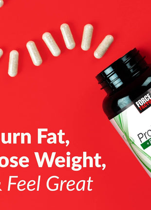 Force Factor ProbioSlim + Prebiotic Fiber Weight Loss Supplement for Women and Men, Probiotic and Prebiotic Digestive Health Support with Green Tea Extract and Psyllium Husk Fiber, 120 Capsules