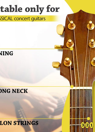BELFORT® quality acoustic guitar strings - 6 string set - Premium coating with Phosphor Bronze (guitar strings acoustic 6 string set) BONUS: 4 Picks + 1 High E String - cuerdas para guitarra acustica