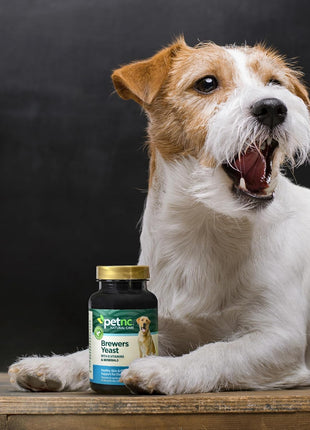 Petnc Natural Care Brewers Yeast Dog Skin and Coat Supplement (250 Chewables), With B Vitamins, Antioxidants & Minerals, Promotes Healthy Skin & Glossy Coat, For Dogs 10 Lbs & Over