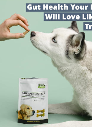Paw Choice Probiotics for Dogs with Prebiotics - Daily Chews for Gut Health, Digestion, Regularity, and Immune Support - Natural Supplement Treat Made in USA