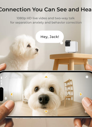 Petcube Cam 360 Camera Interactive WiFi Pet and Home Security Pan-Tilt Camera with Phone App, 1080p HD Video, 360° Rotation, Night Vision, AI Alerts