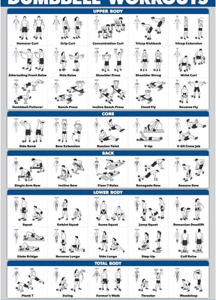 Palace Learning Dumbbell Workout Exercise Poster   Free Weight Body Building Guide | Home Gym Chart   LAMINATED, 18 inch x 24 inch