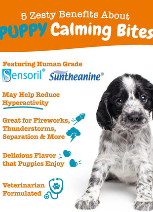 Zesty Paws Puppy Allergy & Immune Soft Chews + Puppy Calming Soft Chews