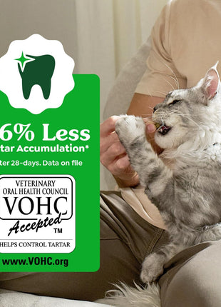 Greenies Cat Treats, Feline Veterinarian-Recommended Adult Natural Dental Treats, Catnip Flavor, 9.75 oz. Tub