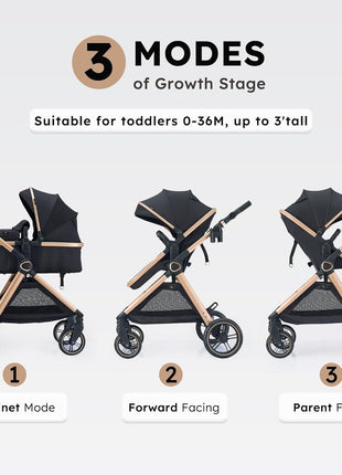 Accombe 2-in-1 Convertible Baby Stroller for Newborn to Toddler | Skin-friendly Breathable Fabric, All-terrain Wheels for Smooth Ride, Adjustable Canopy with UPF50+ Protection
