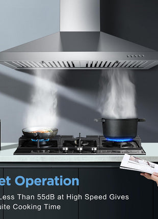 24 Inch Range Hood, Wall Mount Vent Hood in Stainless Steel with Ducted/Ductless Convertible Duct, 3 Speed Exhaust Fan, Energy Saving LED Light, Push Button Control, 2 Pcs Baffle Filters