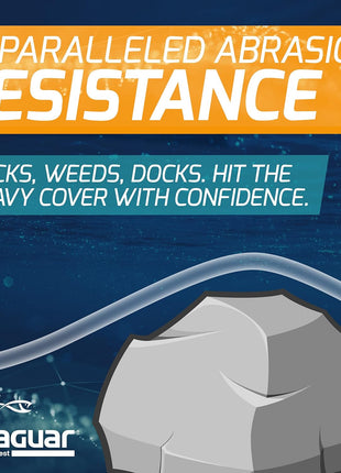 Seaguar Blue Label Fishing Leader Line for Saltwater, 100% Fluorocarbon, Clear, Multiple Sizes