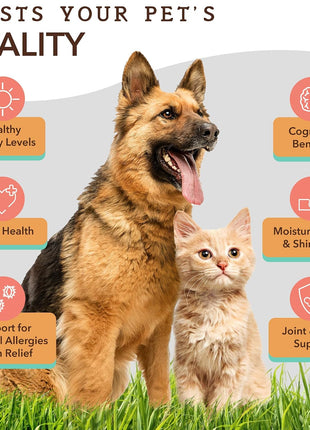 Natural Dog Company Healthy Skin Bundle, Supports Healthy Skin and Relieves Dry, Itchy Skin, Allergy Relief for Dogs