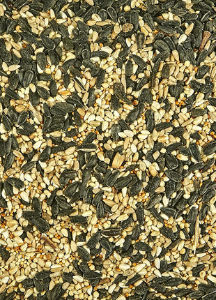 Kaytee Southern Regional Wild Bird Blend, 7-Pound Bag