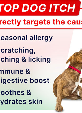 Allergy Relief + Probiotics Dogs Bundle - Itchy Skin Treatment + Digestive Enzymes - Omega 3 & Pumpkin + Prebiotics - Dogs Itching & Licking Treats + Improve Digestion - 360 Chews - Made in USA