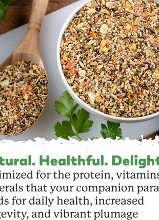 Dr. Harvey's Our Best Parakeet Food, Wholesome Seeds, Nuts, Fruits, and Vegetable Bird Feed for Budgies and Parakeets (4 Pounds/1.81 kg)