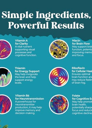 Brain Supplements for Memory, Mind & Memory Matrix and SAM e Supplement