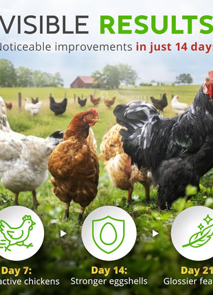 Herb Supplement for Backyard Chickens - Natural Chicken Treats, Poultry Feed Botanical Mix, Plant-Based Coop Snacks for Daily Wellness, Feather Quality, Egg Production, USA (12 oz)