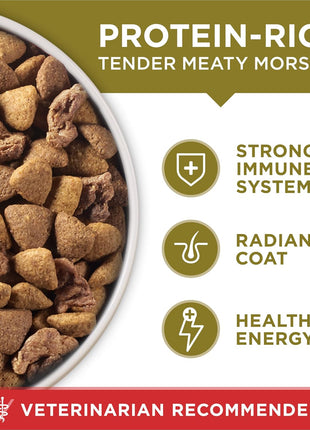 Purina ONE Lamb and Rice Dry Dog Food, 31.1 lb Bag | Natural recipe with real lamb as the first ingredient, and a microbiome balance with prebiotic fiber for gut & immune support
