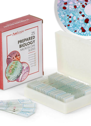 AmScope PS25 Prepared Microscope Slide Set for Basic Biological Science Education, 25 Slides, Includes Fitted Wooden Case Brown