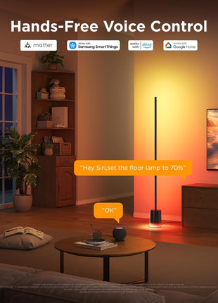 Govee Floor Lamp 2 with Matter, RGBIC, Warm Cool White LED, Alexa Compatible, 1725lm, Music Sync, Scene Modes, Smart Floor Lamp for Living Room, Bedroom, Black(1 Pack)