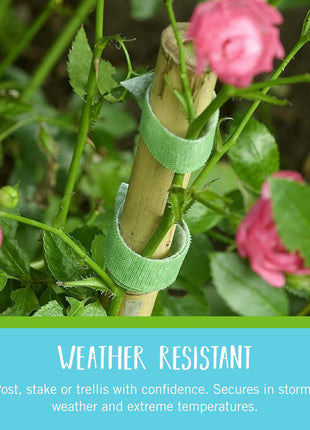 VELCRO Brand VEL-30071-USA ONE-WRAP Garden Ties | Plant Supports for Effective Growing | Strong Grips are Reusable and Adjustable | Cut-to-Length, 50 ft x 1/2 in, Green-Recycled Plastic