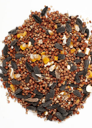 Wagner's 53003 Farmer's Delight Wild Bird Food with Cherry Flavor, 20-Pound Bag