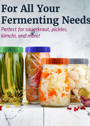 Elementi Glass Fermentation Weight Set of 4   Easy Grip Fermenting Weights, Perfect Fit for Wide Mouth Mason Jars, Durable Soda Lime Glass for Sauerkraut, Kimchi & More   Pickling & Canning Weights