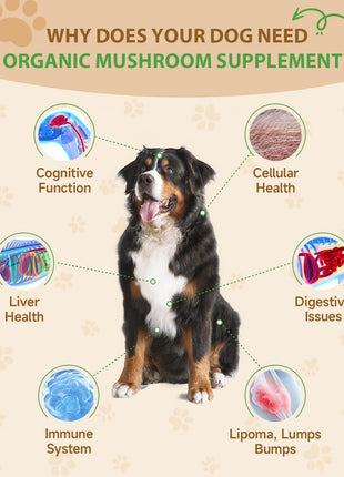 9 in 1 Mushroom Supplement for Dogs - Digestive, Cellular, Immune Health Support, Mushroom Immune Dog Chews Turkey Tail Mushroom for Dogs - Gut, Skin, Joint, Immune Health- Dog Lumps & Bumps