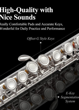 Eastar Closed Hole 16 Keys Flute for Beginner Kids Student with Cleaning Kit, Stand, Case, Gloves, Tuning Rod, Nickel, EFL-1