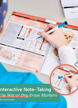 TribeRN Anatomy & Physiology Study Guides - Set of 10 Human Anatomy Guides for Nursing Students, School, College, Medical Professions - 12 Topics on Body Systems w/ Reference Charts & Terminology