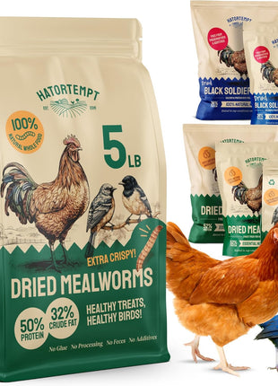 Hatortempt Dried Mealworms - Non-GMO & Organic - High-Protein Mealworms for Wild Bird Food, Ducks & Chickens (5lb)