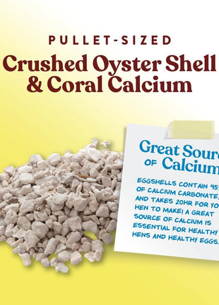 Manna Pro Crushed Oyster Shell for Chickens 芒聙聯 Calcium Supplement for Laying Hens to Support Strong Eggshells 芒聙聯 Natural Poultry Mineral Feed for Backyard Chickens 芒聙聯 5 lb Bag