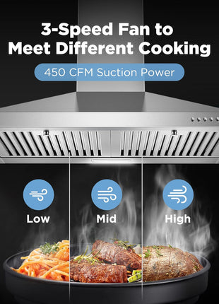 24 Inch Range Hood, Wall Mount Vent Hood in Stainless Steel with Ducted/Ductless Convertible Duct, 3 Speed Exhaust Fan, Energy Saving LED Light, Push Button Control, 2 Pcs Baffle Filters