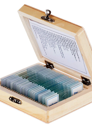 AmScope PS25 Prepared Microscope Slide Set for Basic Biological Science Education, 25 Slides, Includes Fitted Wooden Case Brown