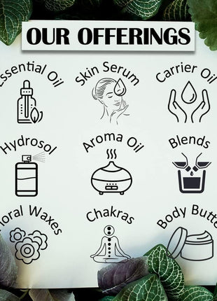 Greenwood Essential Pure Elemi Essential Oil (Canarium luzonicum) with Glass Dropper Steam Distilled 120ml (4 oz)