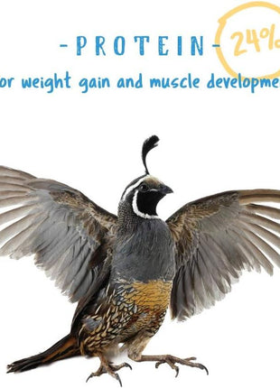 Manna Pro Gamebird & Showbird Crumbles 芒聙聯 Premium Poultry Feed for Chickens, Ducks, Gamebirds, Turkeys & Bantams 芒聙聯 Fortified with Vitamins & Minerals 芒聙聯 Healthy Complete Diet 芒聙聯 5 lb Bag