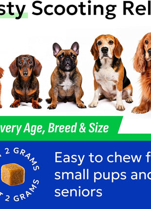 Anal Gland Guard Support + Allergy Relief Chews Bundle - Scoot Treatment - Dry & Itchy Skin Relief - Itching, Paw Licking & Hot Spots - Digestive Enzymes & Breath Aid Support - Made in USA