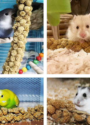 Jmxu's Spray Millet Treat for Birds Parakeets, Natural Sun-Dried Birds Millet for Cockatiel, Budgie, Finches, Parrots, Hamster