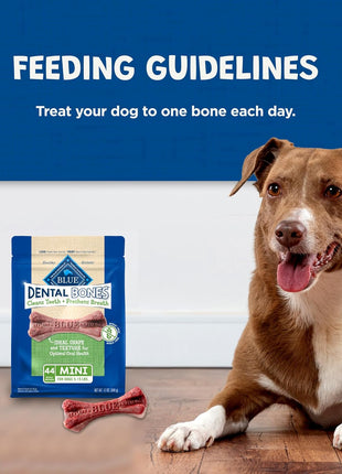 Blue Buffalo Dental Bones Mini Natural Dental Chew Dog Treats Bag,12oz. Bag,(Pack of 2)