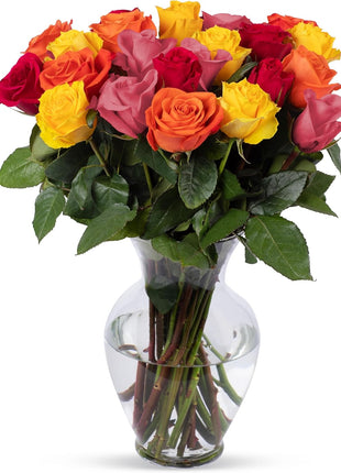 Benchmark Bouquets - Roses Bouquet Assorted Colors - Fresh Flowers for Delivery - Two Dozen Long Stem Roses - Live Flowers - Gift Roses in a Box - Birthday Flowers for Women (Glass Vase Included)
