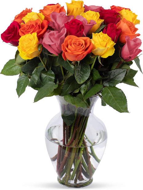 Benchmark Bouquets - Roses Bouquet Assorted Colors - Fresh Flowers for Delivery - Two Dozen Long Stem Roses - Live Flowers - Gift Roses in a Box - Birthday Flowers for Women (Glass Vase Included)